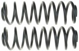 Moog 99-04 Volkswagen Golf 2.0L / 00-05 Volkswagen Jetta 2.0L Rear Coil Spring Set thumbnail 2