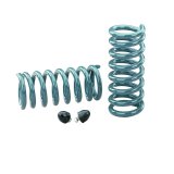 Hotchkis 67-72 GM A-Body / 78-88 GM A/G Body Rear Performance Coil Springs thumbnail 4