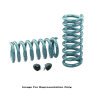 Hotchkis 64-66 GM A-Body Rear 1in Drop Lowering Coil Springs thumbnail 7