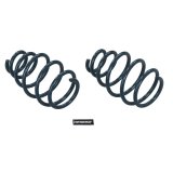 Hotchkis 10+ Camaro SS Sport Front Coil Springs thumbnail 2