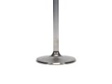 Manley 99-10 Dodge Viper 2.020in Diameter 5.728in Length Race Master Exhaust Valve (Single) thumbnail 7