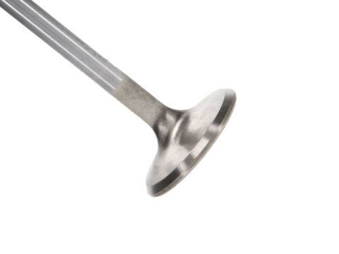 Manley 99-10 Dodge Viper 1.600in Diameter 5.770in Length Race Master Exhaust Valve (Single) thumbnail 3