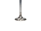 Manley Chevy LT-1 6.2L 1.590in Head Diameter Pro Flo/Severe Duty Exhaust Valves (Set of 8) thumbnail 8