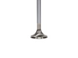 Manley Ford 4.6L 31mm Diameter 4.587in O/A Length Bead Lock Race Master Exhaust Valves (Set of 8) thumbnail 8