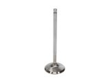 Manley Ford 2.3L EcoBoost Exhaust 33mm Stainless Race Master Valves thumbnail 7