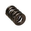Manley NexTek Series 1.640 OD .8602 ID .900 Lift Sportsman and Bracket Classes Valve Springs thumbnail 6