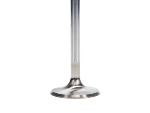 Manley Ford 4.6L DOHC (4 Valve) Triple Groove 37mm Race Master Intake Valves thumbnail 9