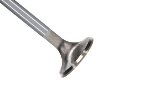 Manley Ford Coyote 5.0L 32mm Extreme Duty Exhaust Valves (Set of 8) thumbnail 2