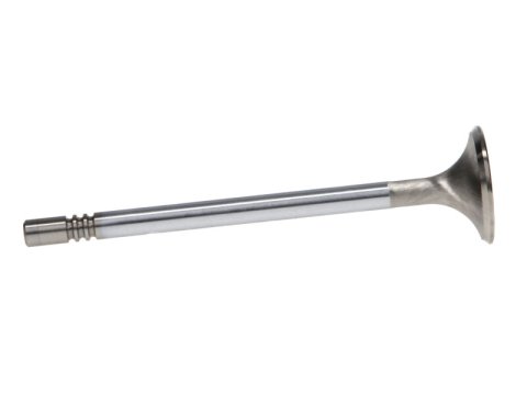 Manley Ford Coyote 5.0L 32mm Extreme Duty Exhaust Valves (Set of 8) thumbnail 5