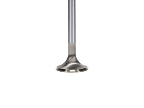 Manley Ford Coyote 5.0L 32mm Extreme Duty Exhaust Valves (Set of 8) thumbnail 8