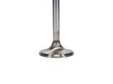 Manley Ford 289/302/351W 1.550 Race Flo Exhaust Valves thumbnail 7