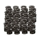 Manley Toyota 3UR-FE Valve Spring and Retainer Kit (Use factory valve locks) thumbnail 1