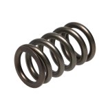 Manley Dodge SRT-4 16pc Valve Springs thumbnail 6