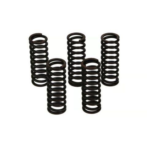 Wiseco Kawasaki KX250F/Suzuki RM-Z250 Clutch Spring Kit thumbnail 4