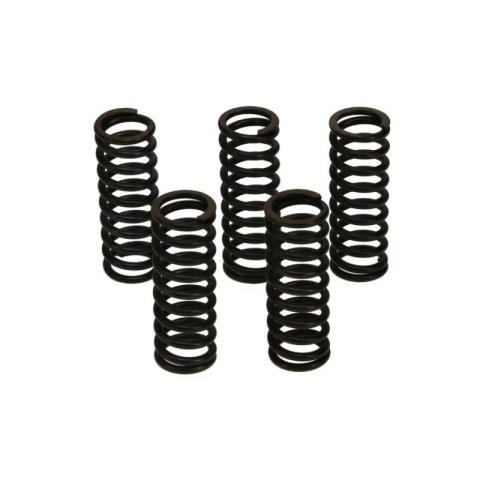 Wiseco Kawasaki KX250F/Suzuki RM-Z250 Clutch Spring Kit thumbnail 6
