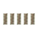 Wiseco XR400/TRX250/ATC250R Clutch Spring Kit thumbnail 5