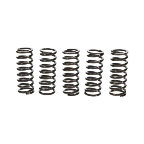 Wiseco 07-09 Suzuki RM-Z250 Clutch Spring Kit thumbnail 4