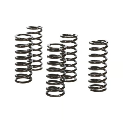 Wiseco 07-09 Suzuki RM-Z250 Clutch Spring Kit thumbnail 6