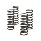 Wiseco 09-12 Honda CRF450R Clutch Spring Kit thumbnail 5