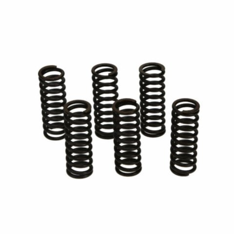 Wiseco 01-09 Suzuki RM125 Clutch Spring Kit thumbnail 2