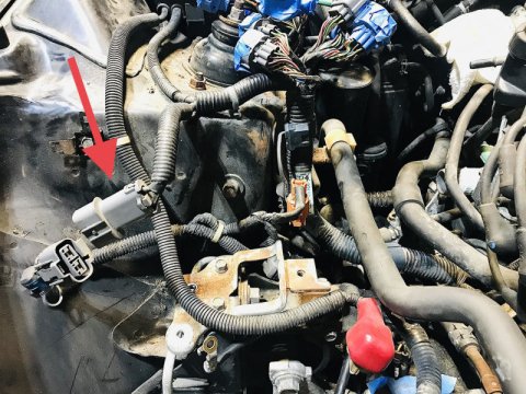 Rywire 97-01 Honda Prelude (Auto) Chassis Specific Adapter (Send Two Pin Core Connector to Rywire) thumbnail 2