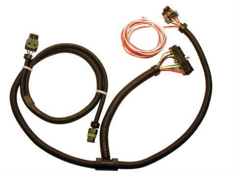 FAST Ignition Adapter Harness Buick V6 thumbnail 1
