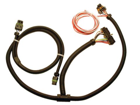 FAST Ignition Adapter Harness Buick V6 thumbnail 3