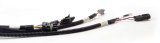 FAST Wiring Harness FAST Main thumbnail 4