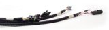FAST Wiring Harness FAST Main LT1 thumbnail 1