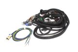 FAST Wiring Harness FAST Main LT1 thumbnail 2