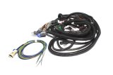 FAST Wiring Harness FAST Main LT1 thumbnail 3
