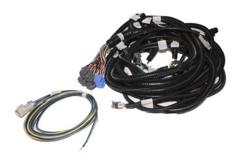 FAST Wiring Harness Main LS1LS2L thumbnail 3