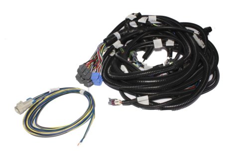 FAST Wiring Harness Main LS1LS2L thumbnail 4