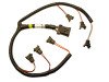 FAST Injector Harness FAST Fuel thumbnail 5