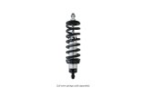 QA1 Proma Star Series Coil-Over Shock Absorber - Double Adj. - Bearing Mount - 9.5in/12.75in - Alum thumbnail 6