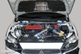GReddy 08-11 Mitsubishi Evo X CZ4A Engine Hood Lifter Kit (Designed for OEM weight hoods.) thumbnail 1