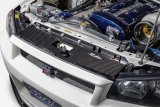 GReddy Garage 89-94 Nissan Skyline GT-R Carbon Cooling Panel R32 thumbnail 4