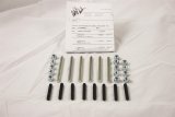 Moroso Chevrolet Big Block (w/Cast Valve Cover) Valve Cover Hex Head Nuts - Zinc Finish thumbnail 1