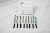 Moroso Chevrolet Big Block (w/Cast Valve Cover) Valve Cover Hex Head Nuts - Zinc Finish thumbnail 3