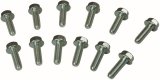 Moroso GM LS Header Bolts thumbnail 1