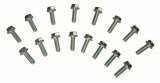 Moroso Ford 4.6L/5.4L Header Bolts thumbnail 1
