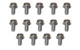 Moroso GM Powerglide Stamped Steel Transmission Pan Bolts - Set of 14 thumbnail 1