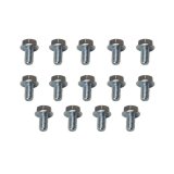 Moroso GM Powerglide Stamped Steel Transmission Pan Bolts - Set of 14 thumbnail 2