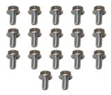 Moroso 4L60/4L60E/200R4/700R4 Transmission Pan Bolts - Set of 17 thumbnail 1
