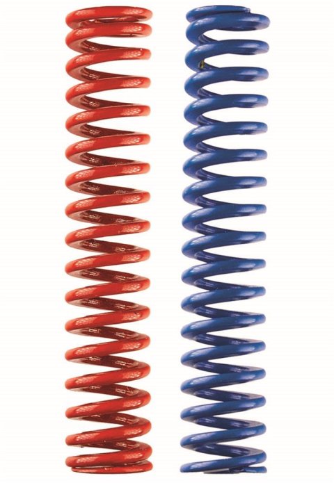 Moroso 2 Piece Oil Pump Spring Kit (For 22167/Black Series Gerotor Ext/Dry Sump)
