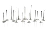 Ferrea Audi TFSI DAZA 29mm 5.97mm 102mm 24 Deg Flo +1mm Trpl Grv Super Alloy Exh Valve - Set of 10 thumbnail 1