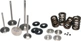 Ferrea Acura/Honda B18/B16 Endurance Dual Spring Kit thumbnail 1