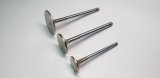 Ferrea Ford Zetec (ZX2) Std Intake Valve Guide - Single (Use w/VS1001 / Drop Ship Only) thumbnail 2