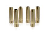 Ferrea Honda K20C1 Turbo Std Intake Valve Guide - Set of 8 (Use w/VS1003) thumbnail 1