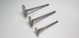 Ferrea Toyota Supra B58 3.0L 28.5mm 5.96mm 99.8mm 21 Deg Tpr Flo STD Comp Plus Exh Valve - Set of 12 thumbnail 2